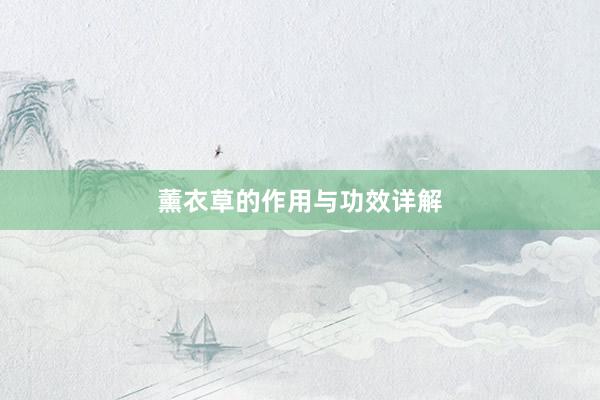 薰衣草的作用与功效详解