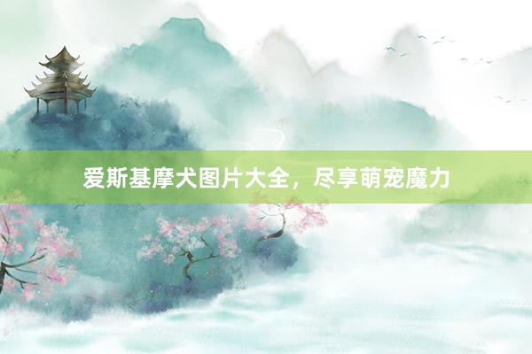 爱斯基摩犬图片大全，尽享萌宠魔力