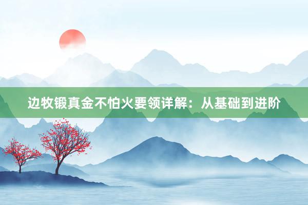 边牧锻真金不怕火要领详解：从基础到进阶